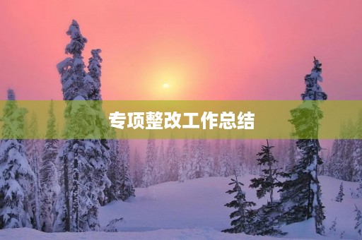 专项整改工作总结