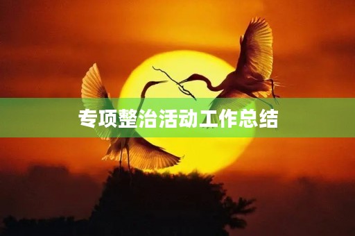 专项整治活动工作总结