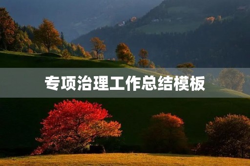 专项治理工作总结模板