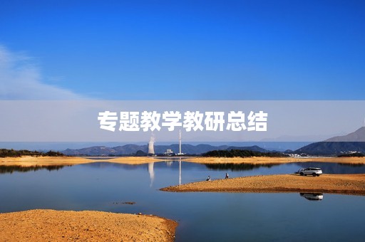 专题教学教研总结
