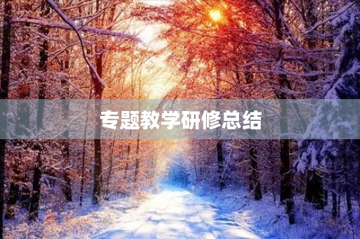 专题教学研修总结