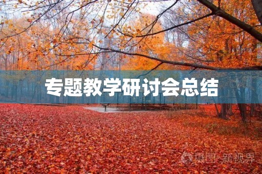 专题教学研讨会总结
