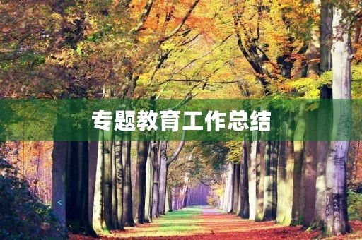 专题教育工作总结