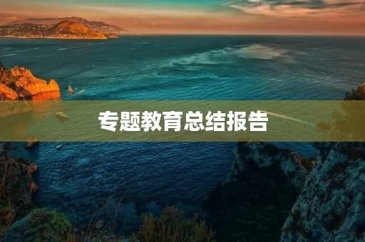 专题教育总结报告