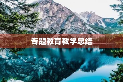 专题教育教学总结