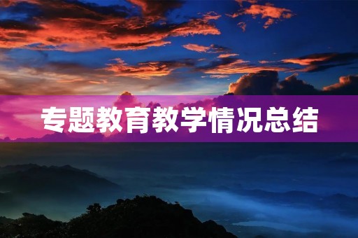专题教育教学情况总结