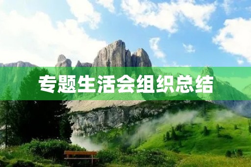 专题生活会组织总结 专题生活会组织总结