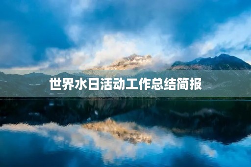 世界水日活动工作总结简报