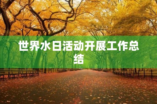 世界水日活动开展工作总结