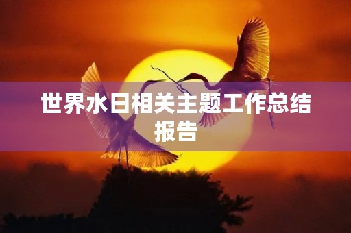 世界水日相关主题工作总结报告