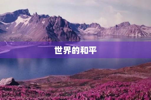 世界的和平 世界的和平
