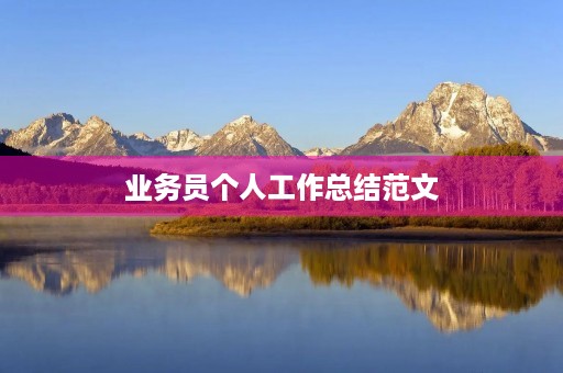 业务员个人工作总结范文