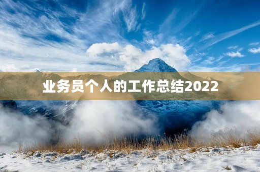 业务员个人的工作总结2022