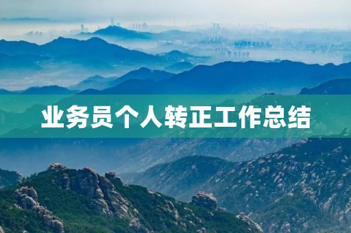 业务员个人转正工作总结