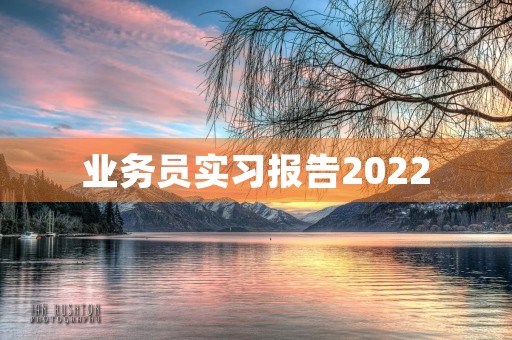 业务员实习报告2022 业务员实习报告2022