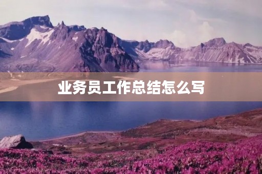 业务员工作总结怎么写 业务员工作总结怎么写