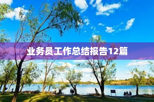 业务员工作总结报告12篇