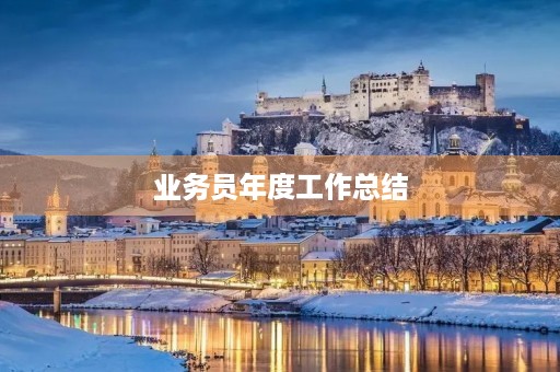 业务员年度工作总结