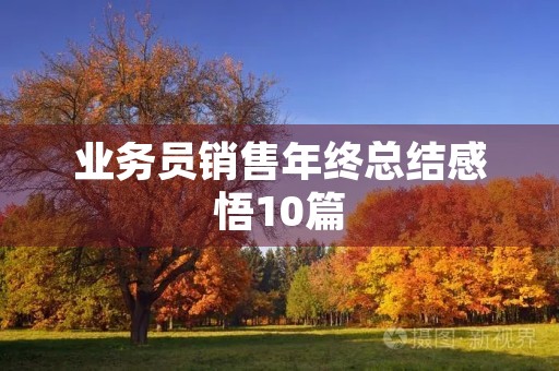 业务员销售年终总结感悟10篇