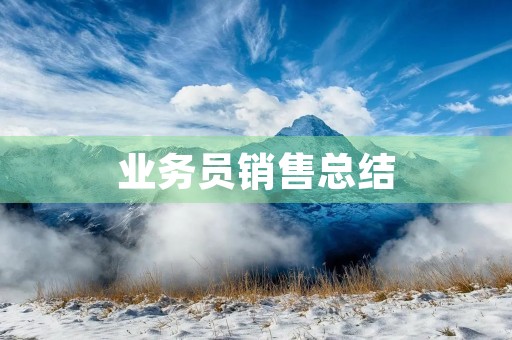 业务员销售总结