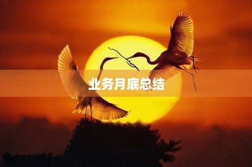 业务月底总结