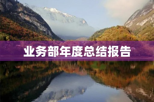 业务部年度总结报告