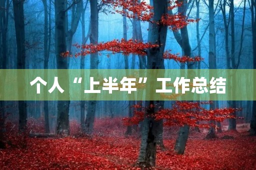个人“上半年”工作总结(2023年)