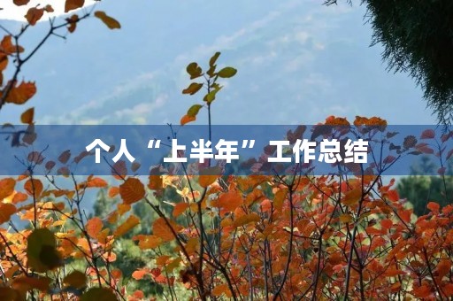 个人“上半年”工作总结