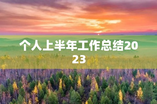 个人上半年工作总结2023