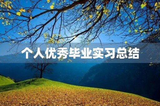 个人优秀毕业实习总结 个人优秀毕业实习总结
