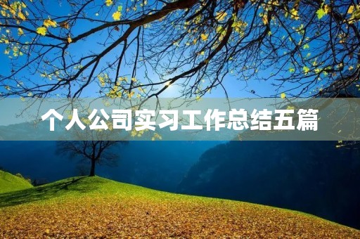 个人公司实习工作总结五篇 个人公司实习工作总结五篇