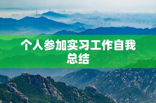 个人参加实习工作自我总结 个人参加实习工作自我总结