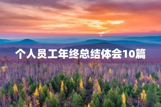个人员工年终总结体会10篇 个人员工年终总结体会10篇