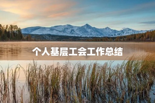 个人基层工会工作总结