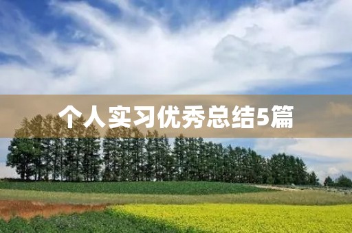 个人实习优秀总结5篇