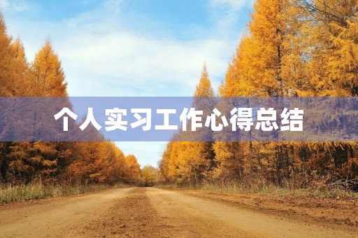 个人实习工作心得总结