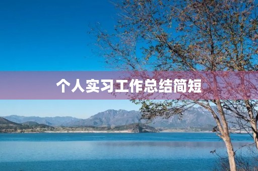 个人实习工作总结简短