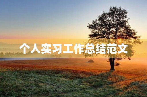 个人实习工作总结范文 个人实习工作总结范文