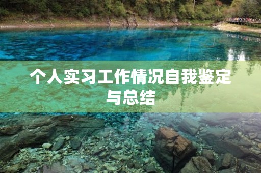 个人实习工作情况自我鉴定与总结