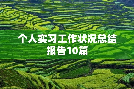 个人实习工作状况总结报告10篇