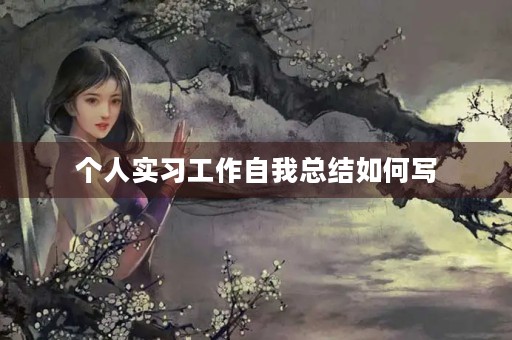 个人实习工作自我总结如何写 个人实习工作自我总结如何写