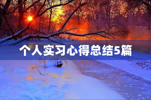 个人实习心得总结5篇