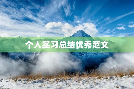 个人实习总结优秀范文