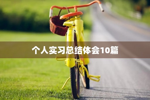 个人实习总结体会10篇