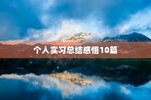 个人实习总结感悟10篇