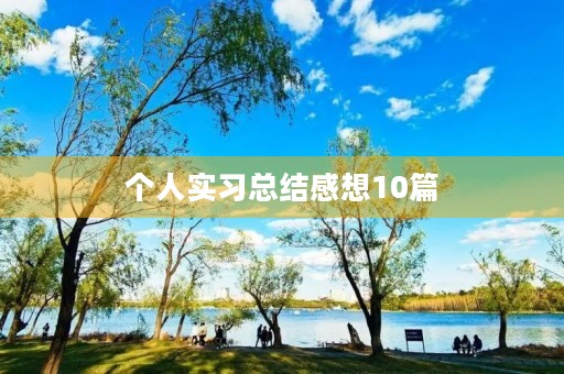 个人实习总结感想10篇