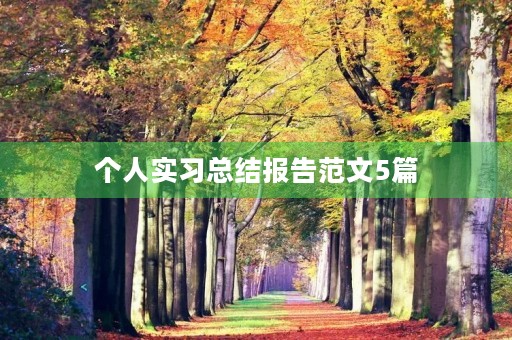 个人实习总结报告范文5篇