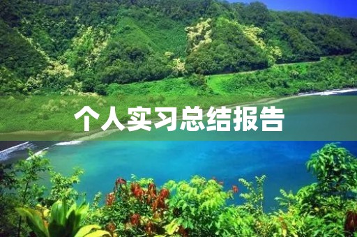 个人实习总结报告