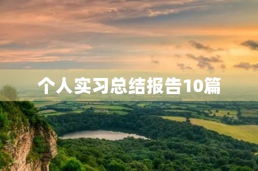 个人实习总结报告10篇