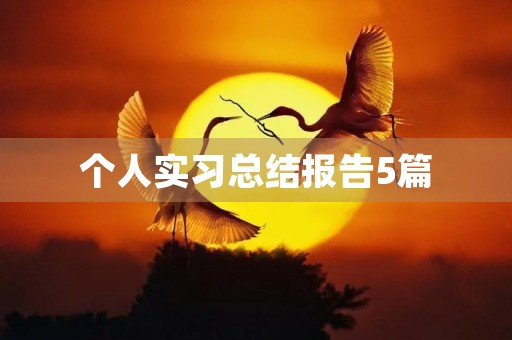 个人实习总结报告5篇 个人实习总结报告5篇